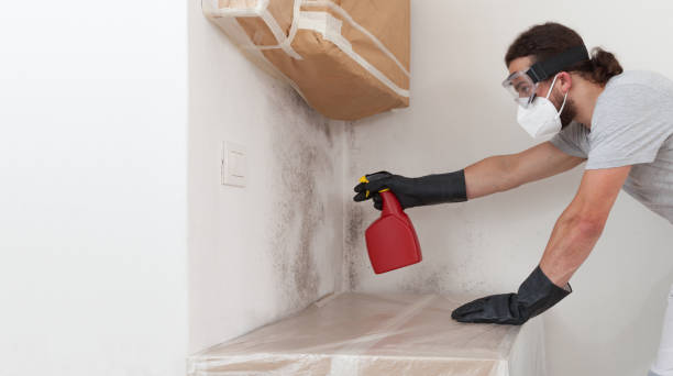 Professional Bathroom Mold Removal technician working in Northbrook, IL