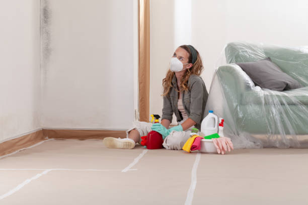 Reliable Bathroom Mold Removal contractor in Northbrook, IL by WQB Mold Removal